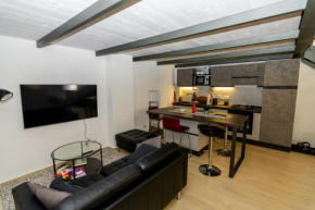 Industrial Loft center of Turin